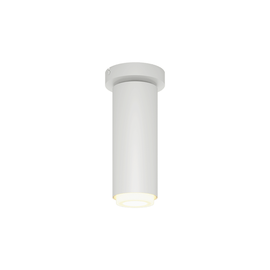 A15 Cylinder Liteoptics Surface Mount by Bruck Lighting